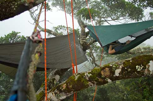 Canopy Camping by Ben Holdaway