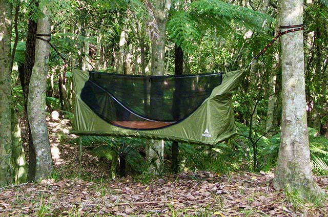 Haven tent in trees